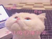 山西德音商贸有限公司