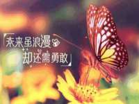 山西德音商贸有限公司