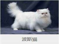 山西德音商贸有限公司