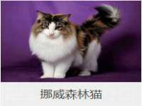 山西德音商贸有限公司