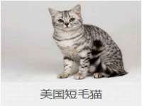 山西德音商贸有限公司