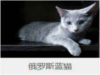 山西德音商贸有限公司