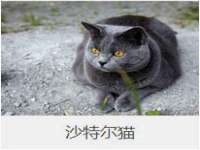 山西德音商贸有限公司
