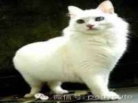 山西德音商贸有限公司