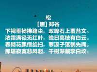 山西德音商贸有限公司