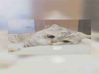 山西德音商贸有限公司