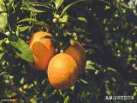 山西德音商贸有限公司