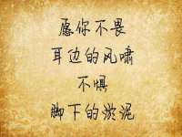 山西德音商贸有限公司