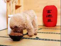 山西德音商贸有限公司