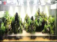 山西德音商贸有限公司