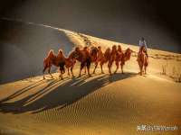 山西德音商贸有限公司