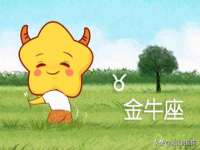山西德音商贸有限公司