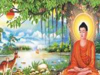 山西德音商贸有限公司